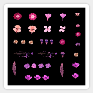 Dried pink flowers colorful Sticker